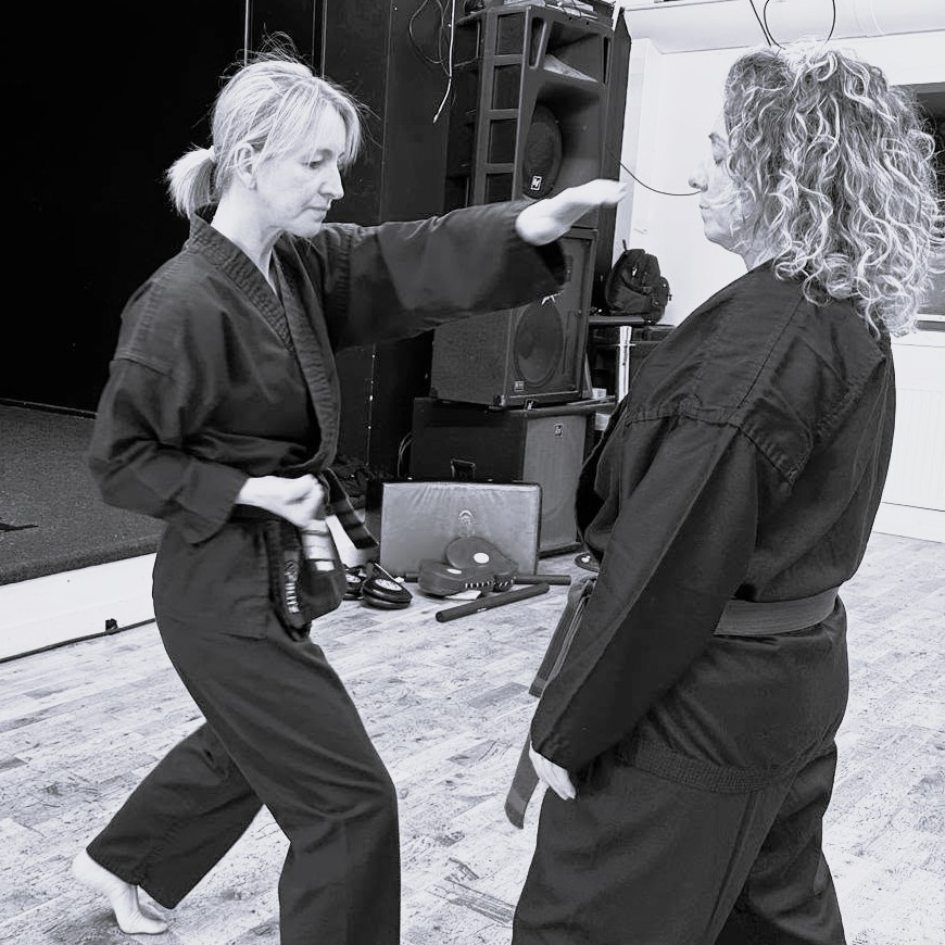 Women doing martial arts